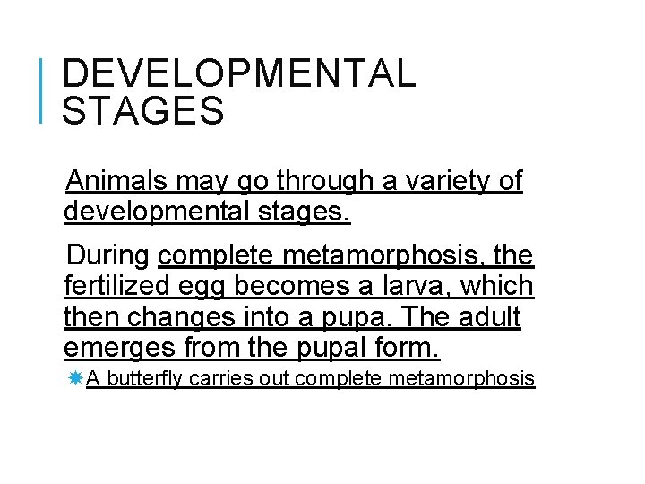 DEVELOPMENTAL STAGES Animals may go through a variety of developmental stages. During complete metamorphosis,