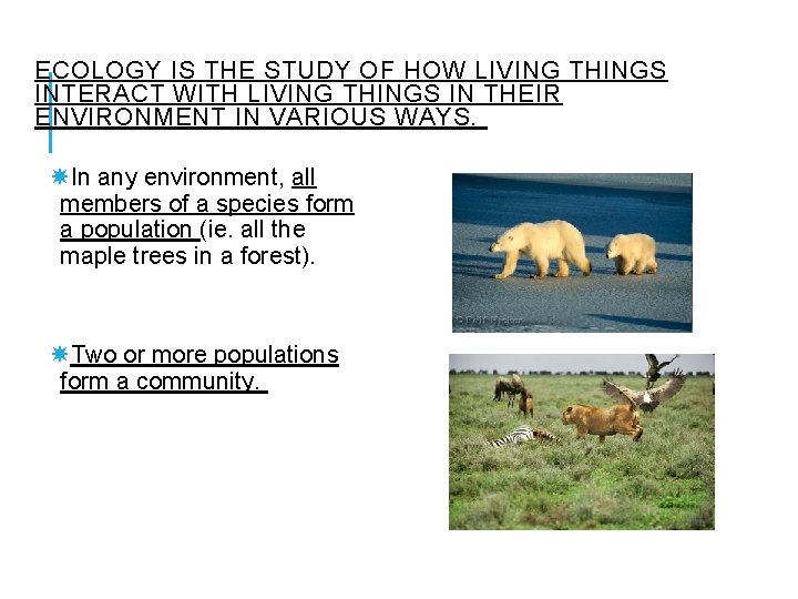 ECOLOGY IS THE STUDY OF HOW LIVING THINGS INTERACT WITH LIVING THINGS IN THEIR