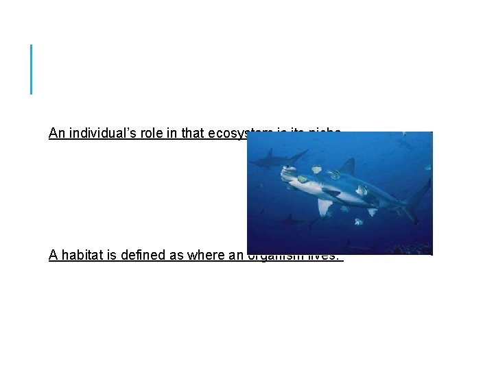 An individual’s role in that ecosystem is its niche. A habitat is defined as