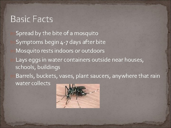 Basic Facts Spread by the bite of a mosquito Symptoms begin 4 -7 days