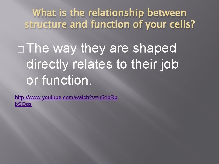 What is the relationship between structure and function of your cells? � The way