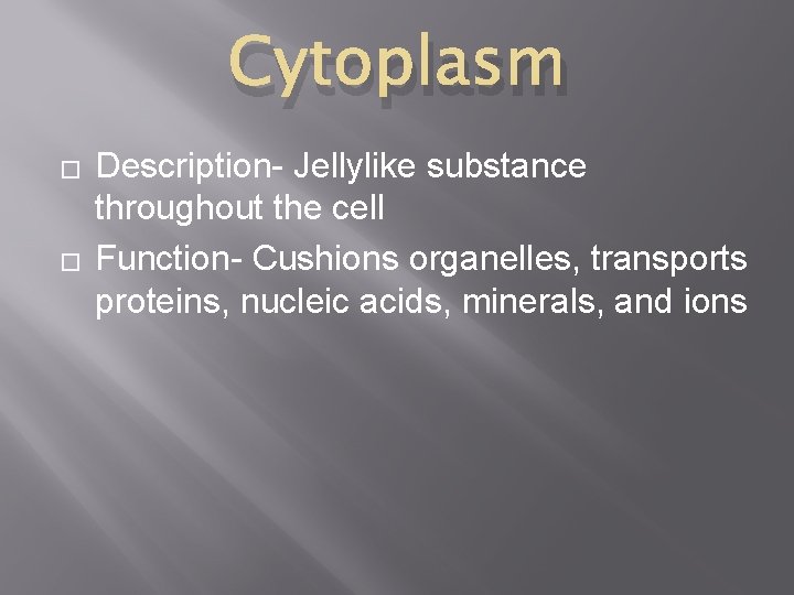 Cytoplasm � � Description- Jellylike substance throughout the cell Function- Cushions organelles, transports proteins,