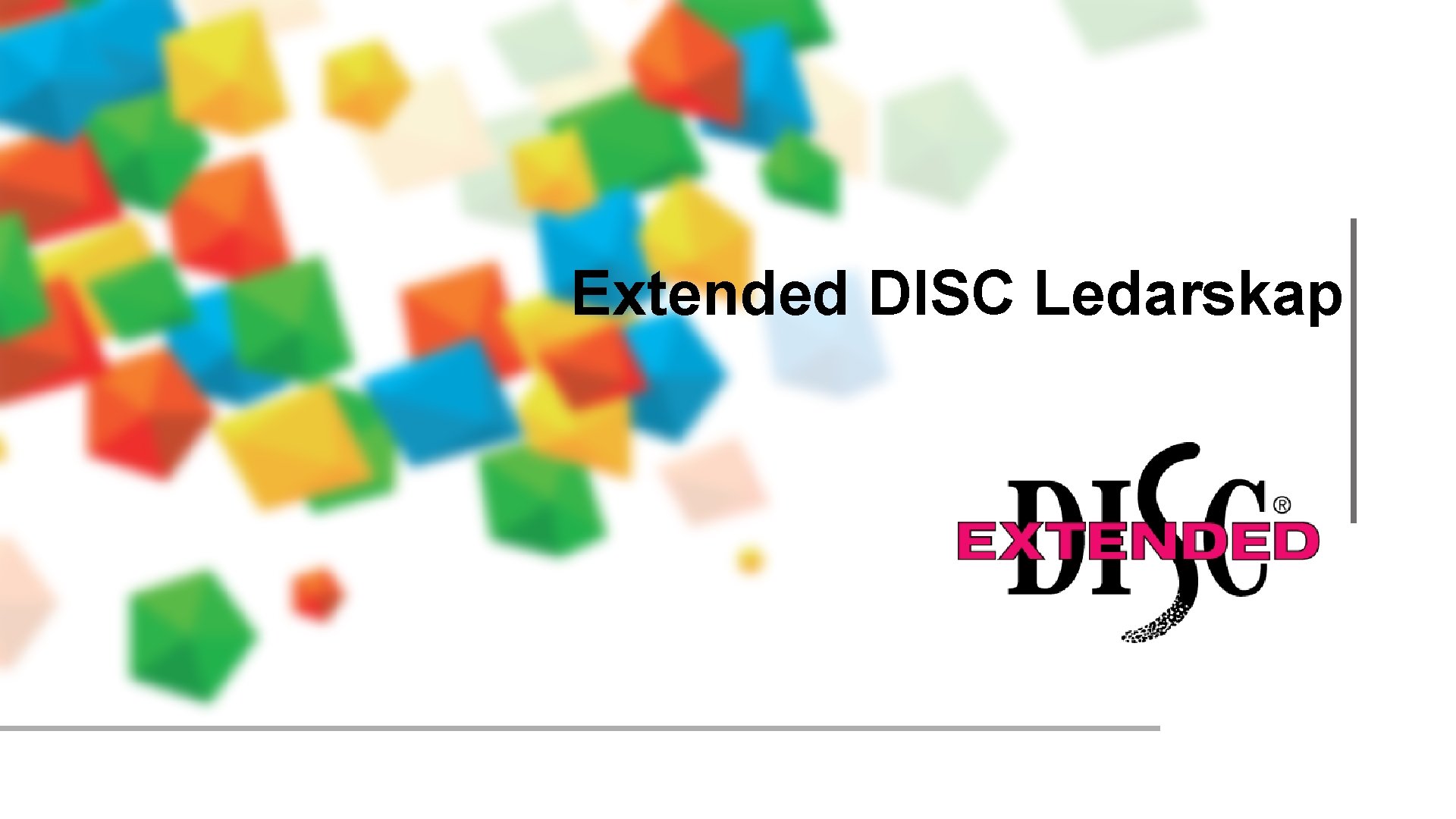 Extended DISC Ledarskap 