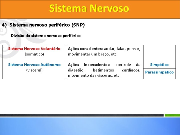 Sistema Nervoso 4) Sistema nervoso periférico (SNP) Divisão do sistema nervoso periférico Sistema Nervoso