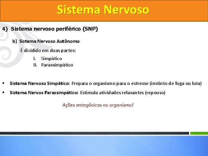 Sistema Nervoso 4) Sistema nervoso periférico (SNP) b) Sistema Nervoso Autônomo É dividido em