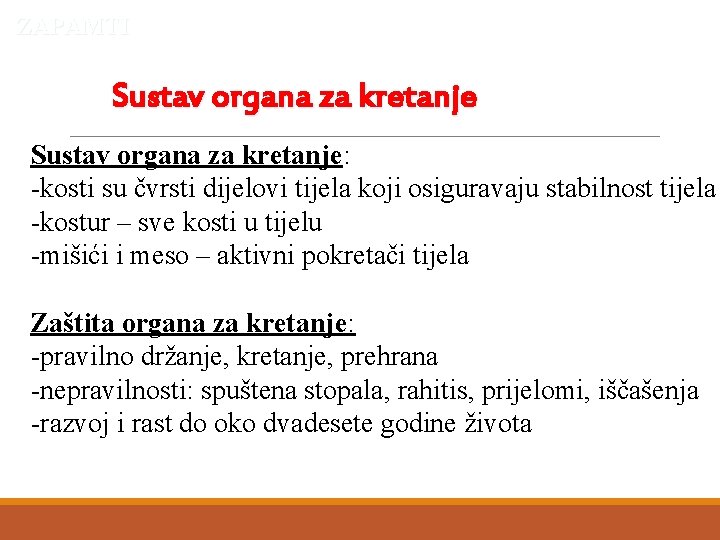 ZAPAMTI Sustav organa za kretanje: -kosti su čvrsti dijelovi tijela koji osiguravaju stabilnost tijela