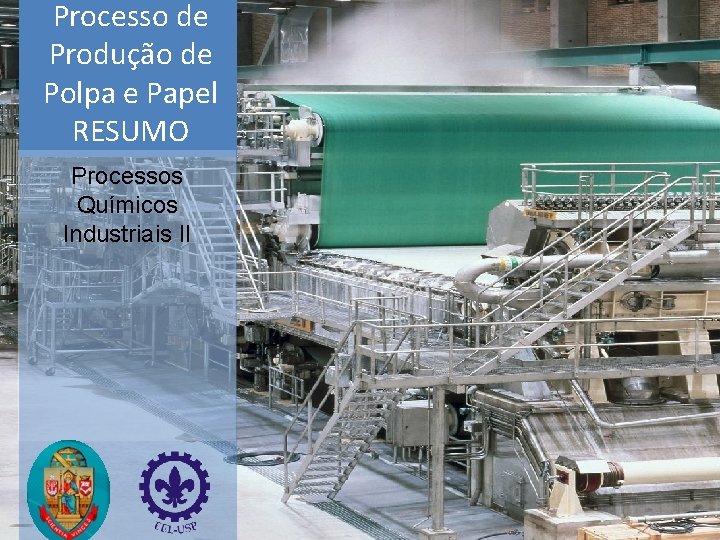 Processo de Produção de Polpa e Papel RESUMO Processos Químicos Industriais II 
