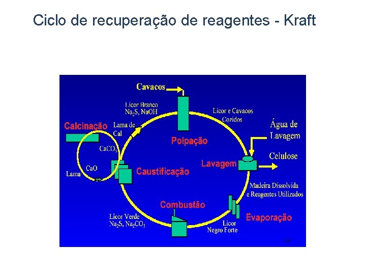 Ciclo de recuperação de reagentes - Kraft 