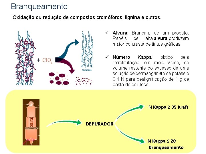 Branqueamento Oxidação ou redução de compostos cromóforos, lignina e outros. ü Alvura: Brancura de