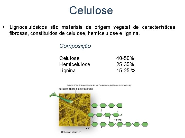 Celulose • Lignocelulósicos são materiais de origem vegetal de características fibrosas, constituídos de celulose,