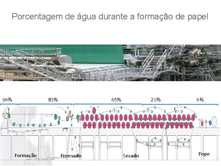 Porcentagem de água durante a formação de papel 96% 83% Formação 65% Prensado 20%