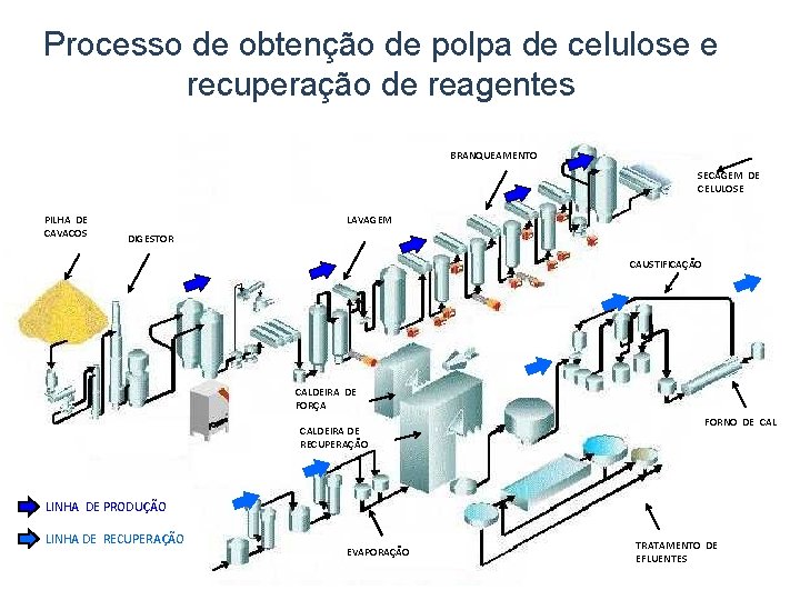Processo de obtenção de polpa de celulose e recuperação de reagentes BRANQUEAMENTO SECAGEM DE