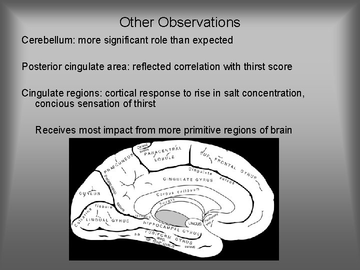 Other Observations Cerebellum: more significant role than expected Posterior cingulate area: reflected correlation with