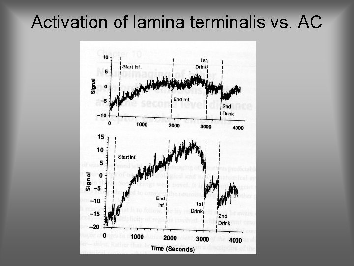 Activation of lamina terminalis vs. AC 