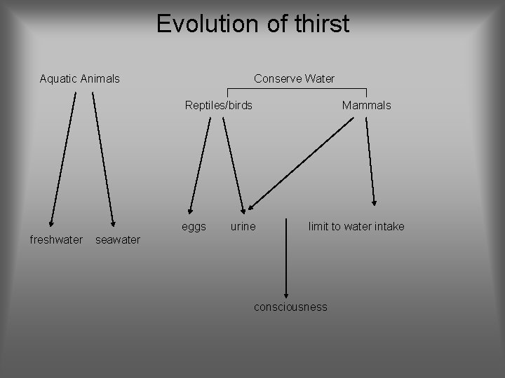 Evolution of thirst Aquatic Animals Conserve Water Reptiles/birds eggs freshwater Mammals urine limit to