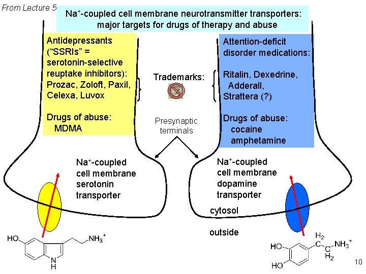 From Lecture 5 Na+-coupled cell membrane neurotransmitter transporters: major targets for drugs of therapy