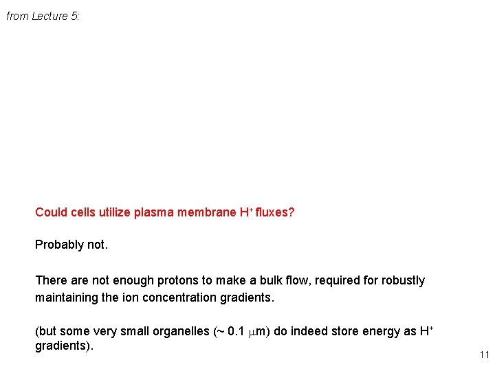 from Lecture 5: Could cells utilize plasma membrane H+ fluxes? Probably not. There are