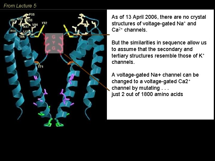 From Lecture 5 H 213 O April 2006, there are no K+ crystal ion