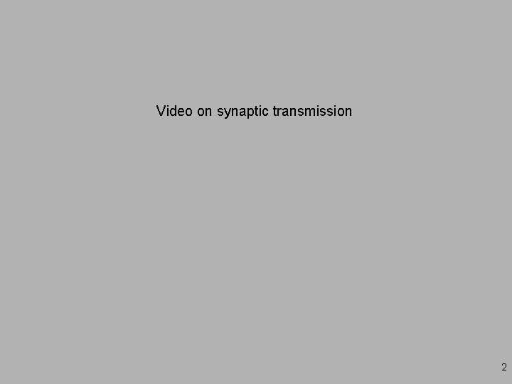 Video on synaptic transmission 2 