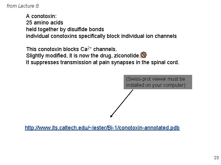 from Lecture 8: A conotoxin: 25 amino acids held together by disulfide bonds individual