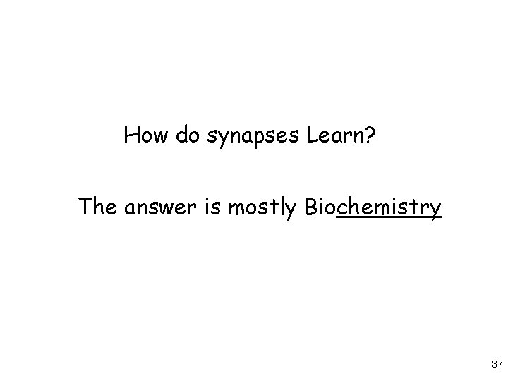 How do synapses Learn? The answer is mostly Biochemistry 37 