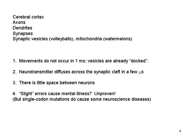 Cerebral cortex Axons Dendrites Synapses Synaptic vesicles (volleyballs), mitochondria (watermelons) 1. Movements do not