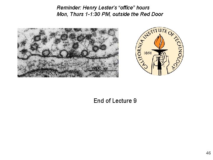 Reminder: Henry Lester’s “office” hours Mon, Thurs 1 -1: 30 PM, outside the Red