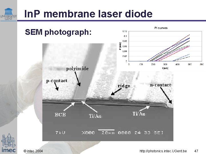 In. P membrane laser diode SEM photograph: © intec 2004 http: //photonics. intec. UGent.