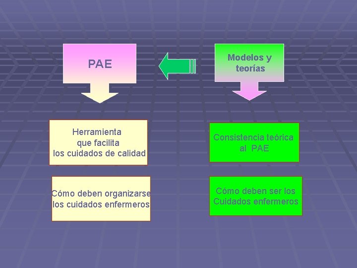 PAE Modelos y teorías Herramienta que facilita los cuidados de calidad Consistencia teórica al