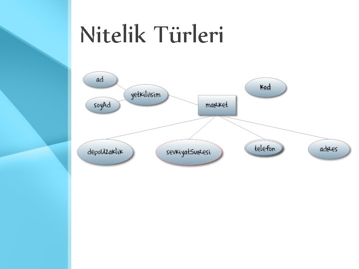 Nitelik Türleri Nitelik Türleri