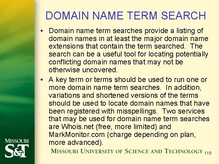 DOMAIN NAME TERM SEARCH • Domain name term searches provide a listing of domain