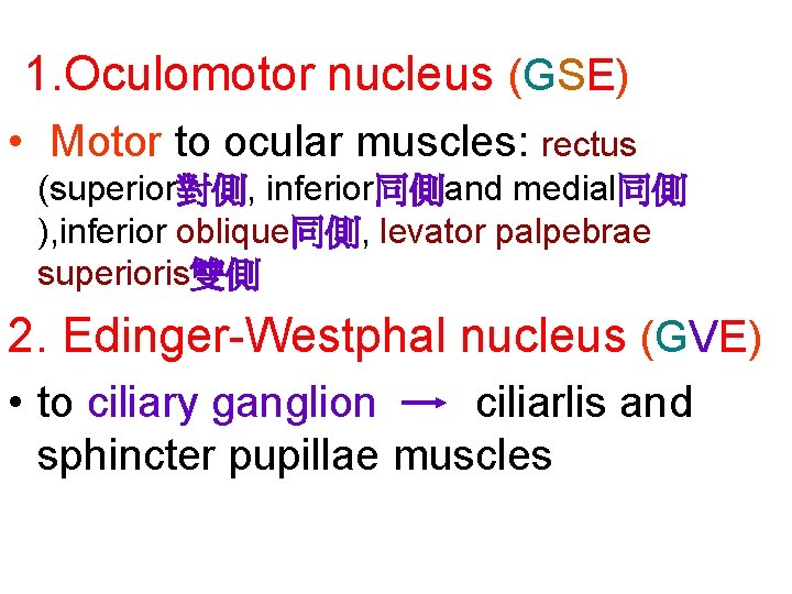 1. Oculomotor nucleus (GSE) • Motor to ocular muscles: rectus (superior對側, inferior同側and medial同側 ),