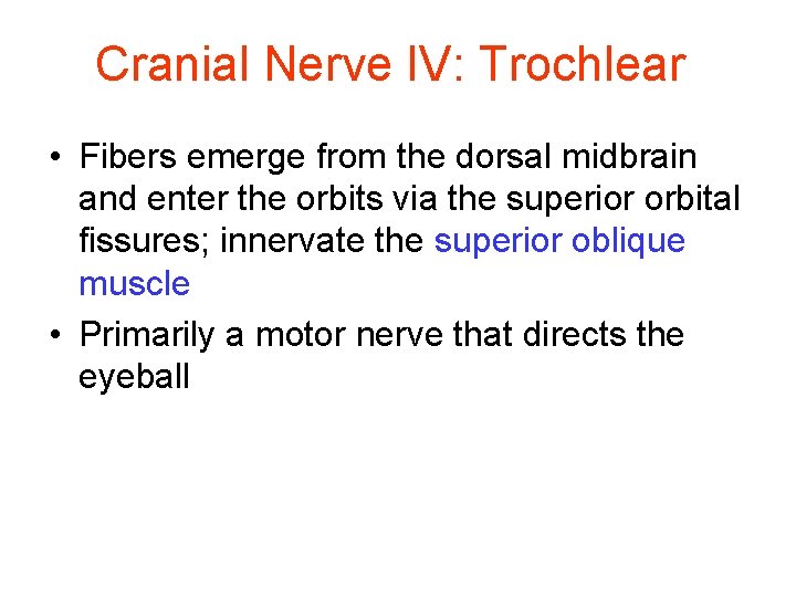 Cranial Nerve IV: Trochlear • Fibers emerge from the dorsal midbrain and enter the