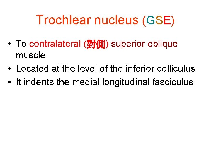 Trochlear nucleus (GSE) • To contralateral (對側) superior oblique muscle • Located at the