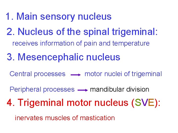 1. Main sensory nucleus 2. Nucleus of the spinal trigeminal: receives information of pain