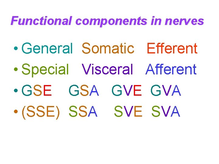 Functional components in nerves • General Somatic Efferent • Special Visceral Afferent • GSE