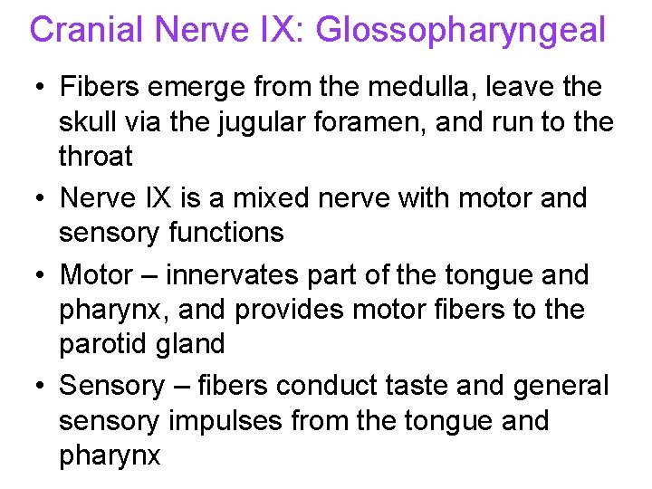 Cranial Nerve IX: Glossopharyngeal • Fibers emerge from the medulla, leave the skull via