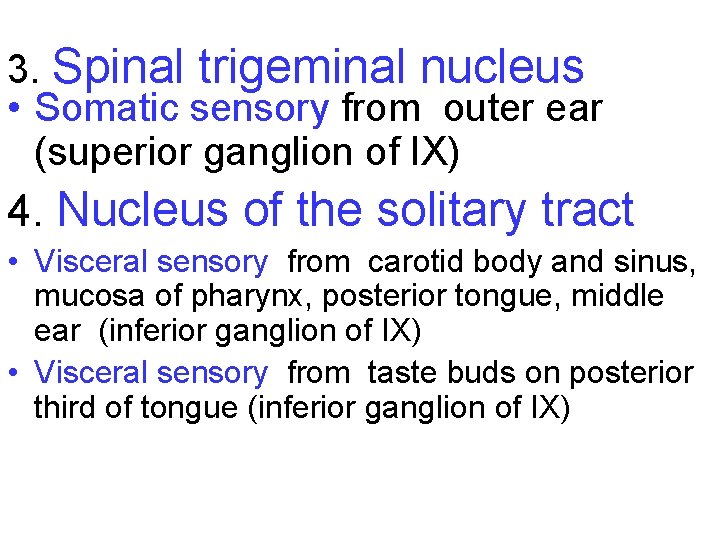 3. Spinal trigeminal nucleus • Somatic sensory from outer ear (superior ganglion of IX)