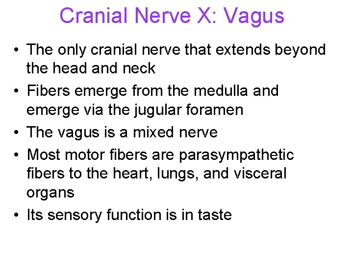 Cranial Nerve X: Vagus • The only cranial nerve that extends beyond the head