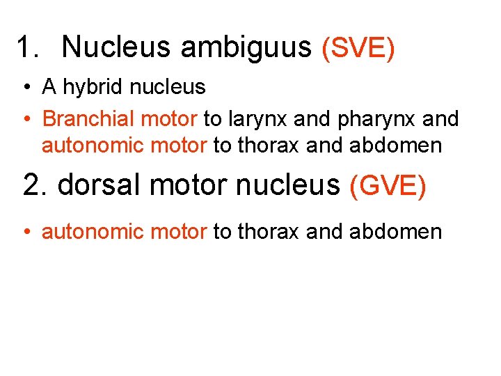 1. Nucleus ambiguus (SVE) • A hybrid nucleus • Branchial motor to larynx and
