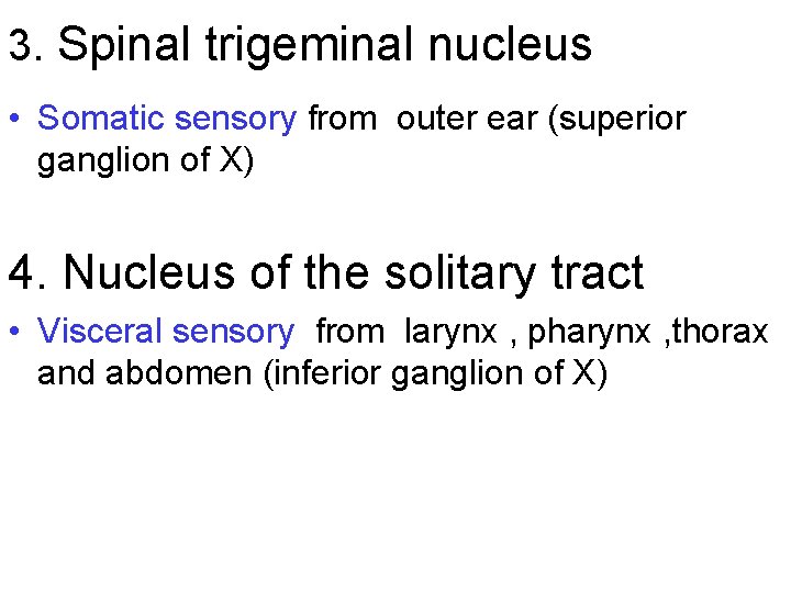 3. Spinal trigeminal nucleus • Somatic sensory from outer ear (superior ganglion of X)