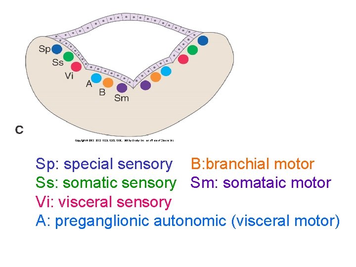 Sp: special sensory B: branchial motor Ss: somatic sensory Sm: somataic motor Vi: visceral