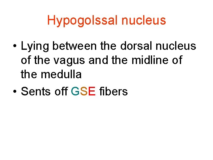Hypogolssal nucleus • Lying between the dorsal nucleus of the vagus and the midline