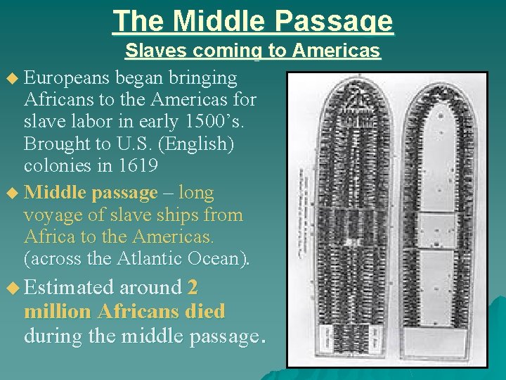 The Middle Passage Slaves coming to Americas u Europeans began bringing Africans to the