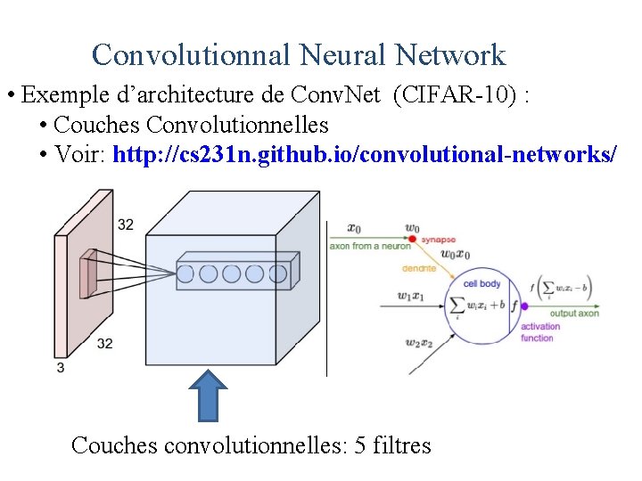 Convolutionnal Neural Network • Exemple d’architecture de Conv. Net (CIFAR-10) : • Couches Convolutionnelles