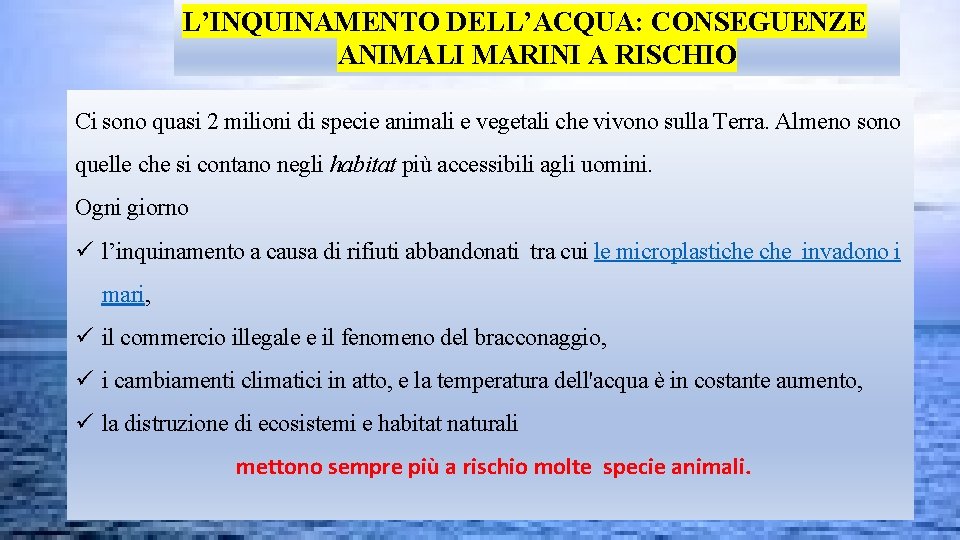 L’INQUINAMENTO DELL’ACQUA: CONSEGUENZE ANIMALI MARINI A RISCHIO Ci sono quasi 2 milioni di specie