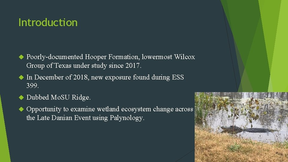 Introduction Poorly-documented Hooper Formation, lowermost Wilcox Group of Texas under study since 2017. In