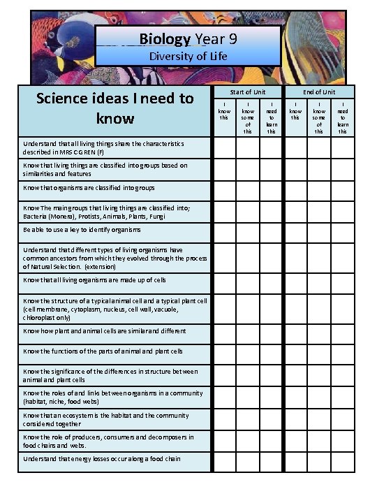 Biology Year 9 Diversity of Life Science ideas I need to know Understand that