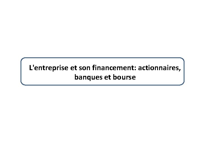 L'entreprise et son financement: actionnaires, banques et bourse 