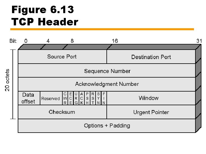 Figure 6. 13 TCP Header 